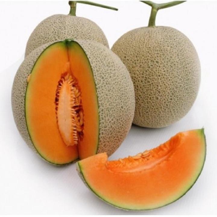 Hạt giống Dưa lưới vàng F1- 1gr