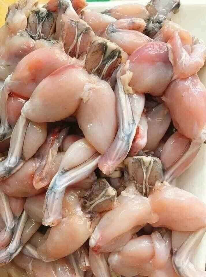 Đùi ếch vĩ 500g (giao tphcm 4h)