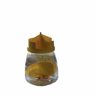 combo bẫy ruồi vàng và côn trùng sinh học