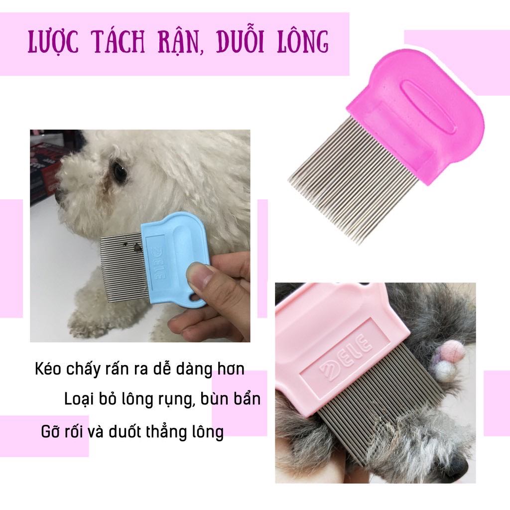LƯỢC CHẢI VE RẬN, BỌ CHÉT - MADDIE PETSTORE