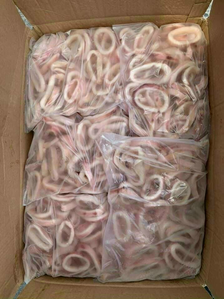 MỰC KHOANH/MỰC VÒNG tươi ngon - 1KG NET 5 (giao TPHCM 2H)