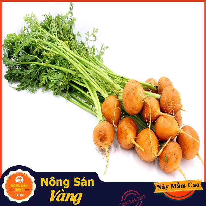 [HCM]Hạt giống Cà Rốt Củ Tròn ( 05 Gram ) - Nông Sản Vàng
