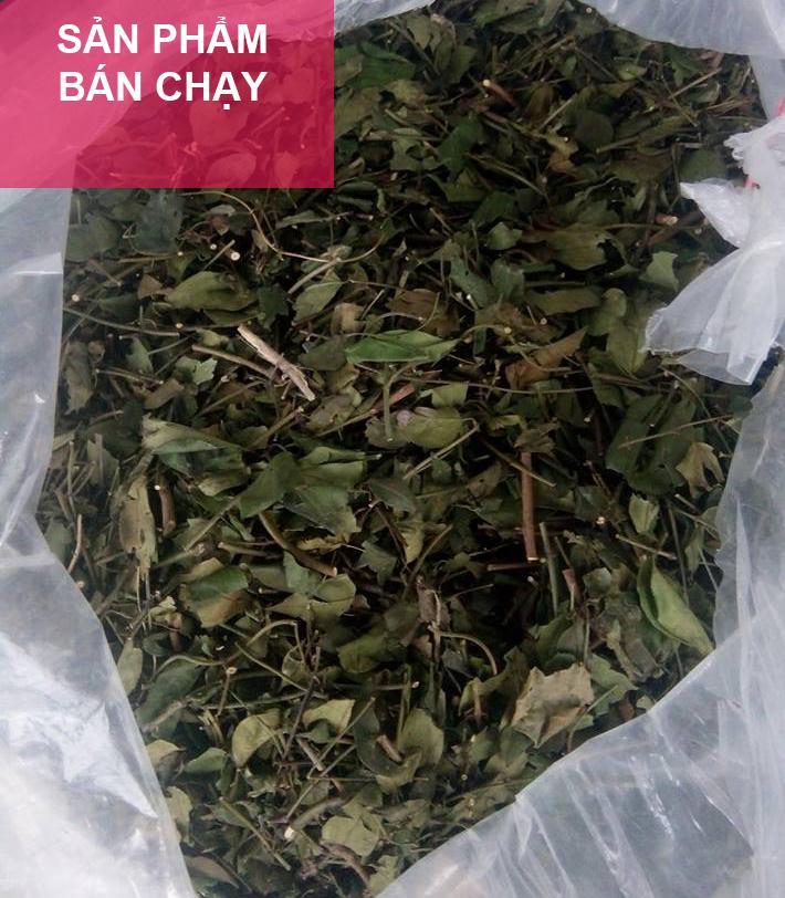 [HCM]Chè vằng sẻ lá nhỏ - Gói 1kg khô