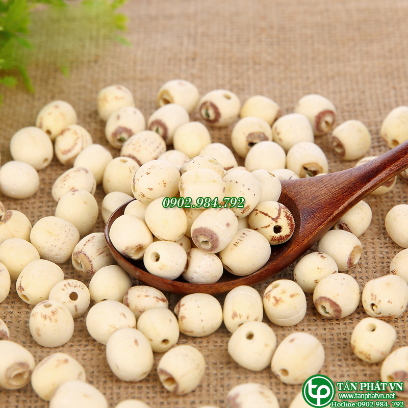 [Hạt hữu cơ] Hạt sen khô 500gram , Hạt sen khô loại ngon - tấn phát - Hàng sạch chuyên dùng để nấu chè