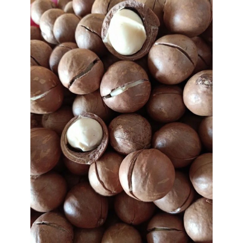 Túi 500g hạt macca loại ngon kèm đồ khui