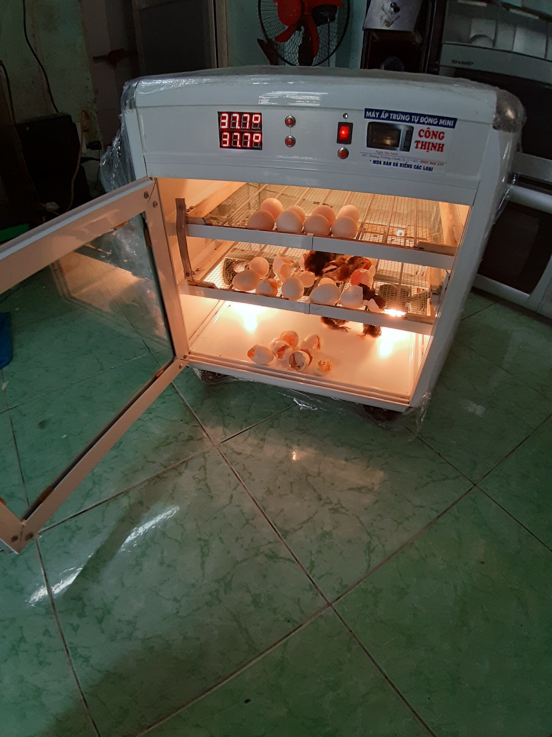 MÁY ẤP TRỨNG TỰ ĐỘNG MINI CÔNG THỊNH (120 TRỨNG)