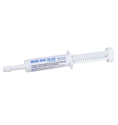 ỐNG MEN BENE-BAC PLUS 15GR