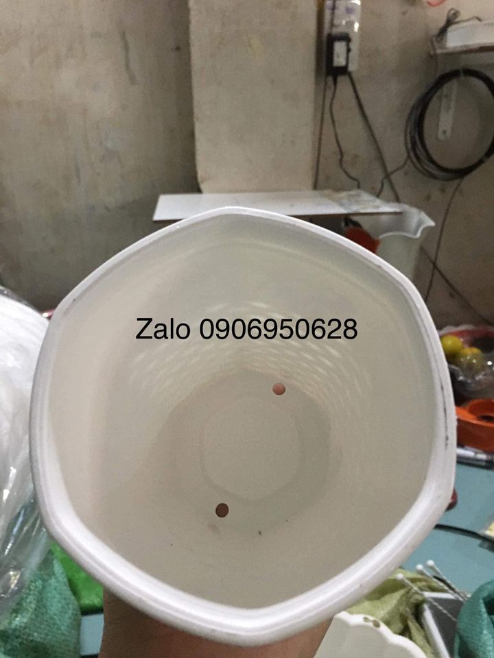 [HCM]Chậu nhựa hoa mây trắng