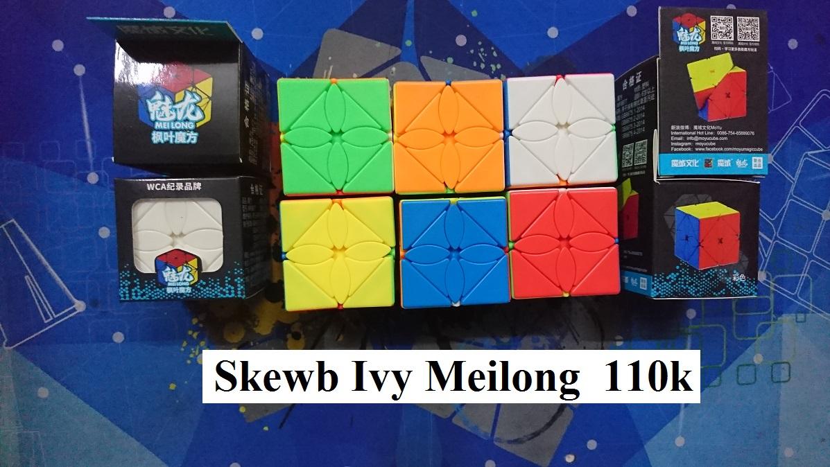 Biến thể Rubik. Skewb Ivy Meilong
