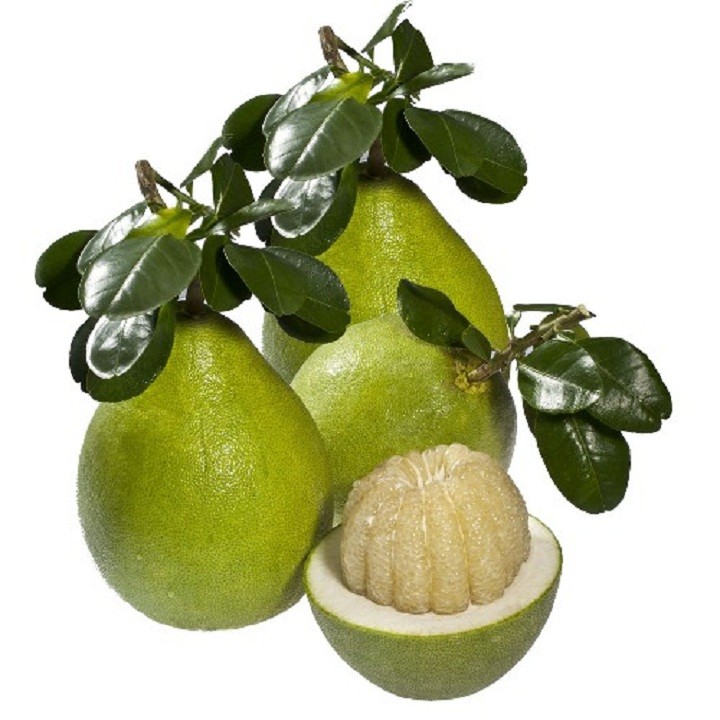 3 cây giống bưởi đương siêu ngọt - C010
