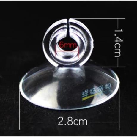 Hít kính - mút kính giữ ống, giữ dây sủi - dây co2, phụ kiện cá tép cảnh thủy sinh