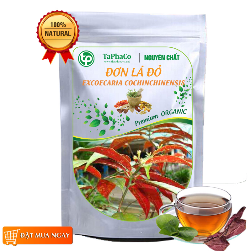 Cây đơn lá đỏ sấy khô 500g - tấn phát