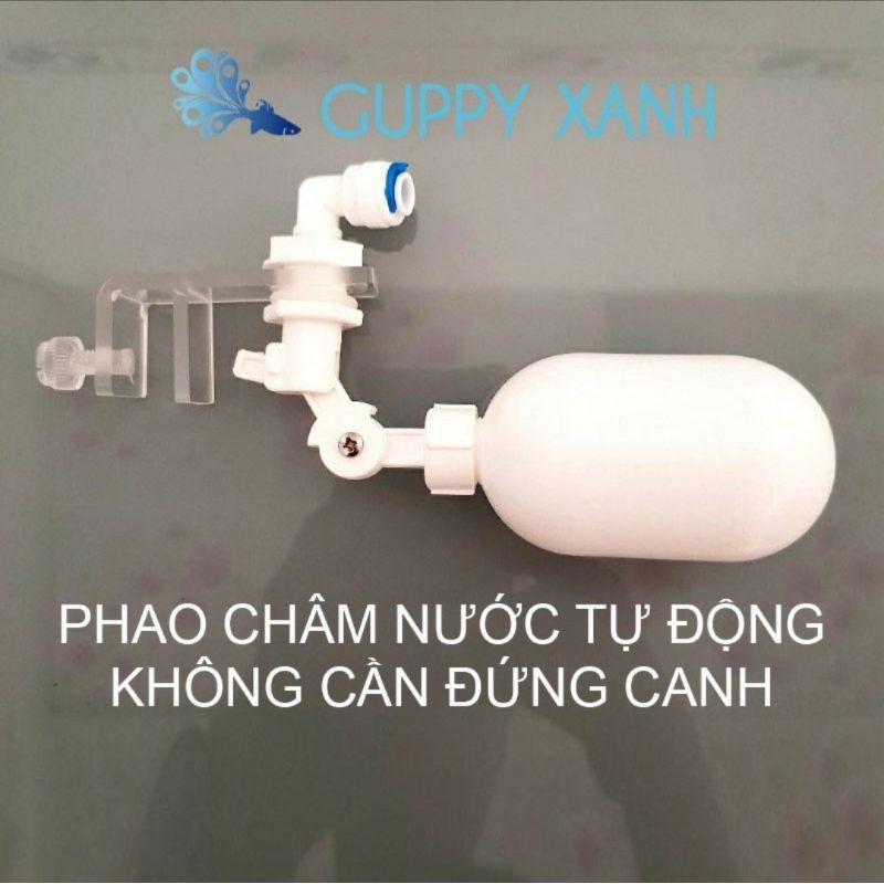 Phao châm nước tự động cho hồ cá tép