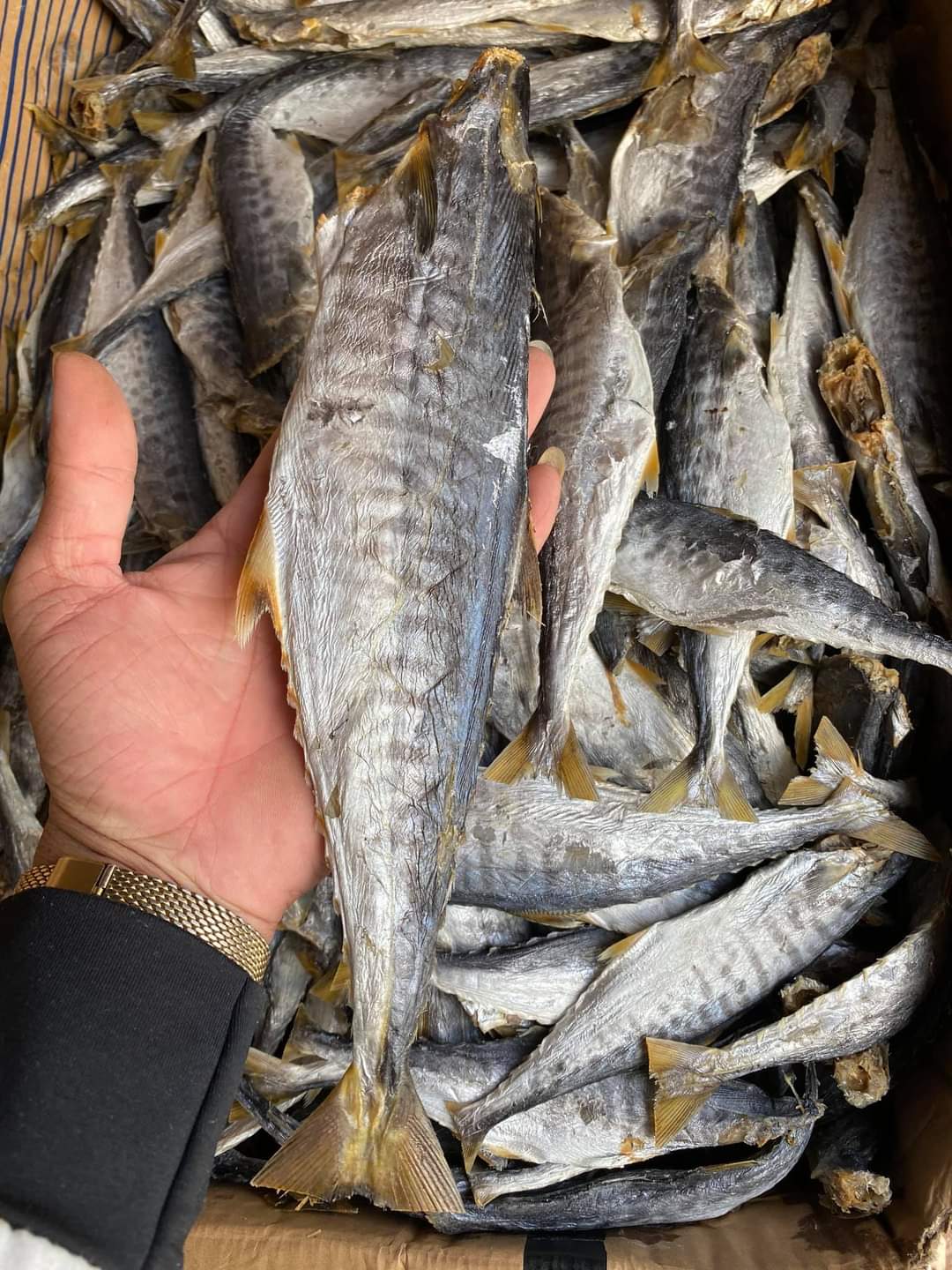 0,5KG CÁ THU KHÔ THỊT DAI CHẮC