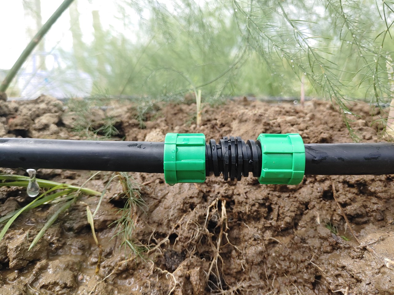 Bộ 100 nối ren vặn ống nhỏ giọt phi 16mm