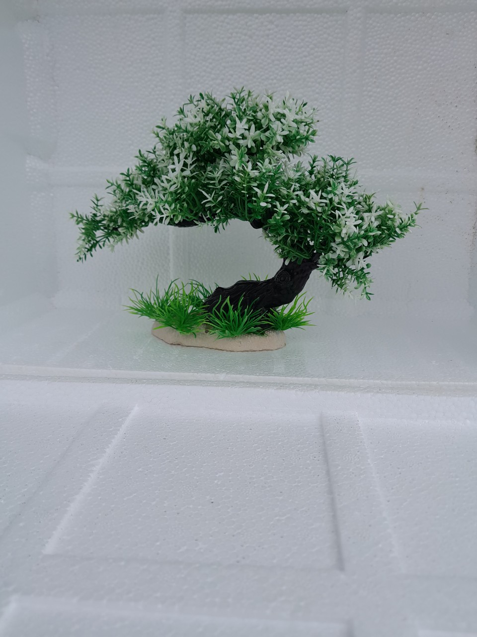 Bonsai bể Cá - Cỏ - Rong Trang Trí Bể Cá