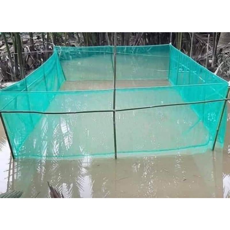 Tráng Nuôi Ốc Thủy Sản cá,lươn,trạch,ốc ,baba