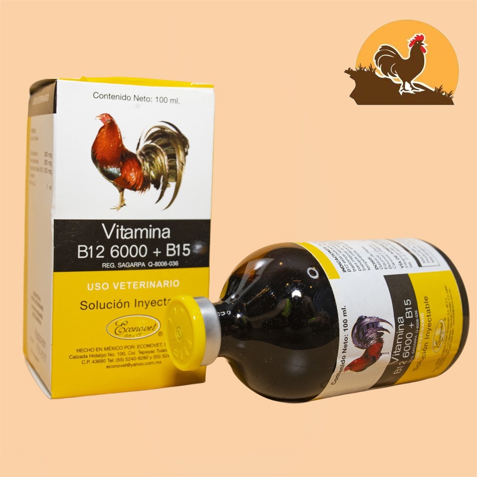 B12 6000 + B15 dinh dưỡng dành cho gà đá lọ 100ml