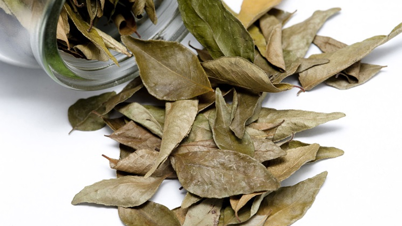 Lá nguyệt quế Khô 10g - doanvat_hangduong