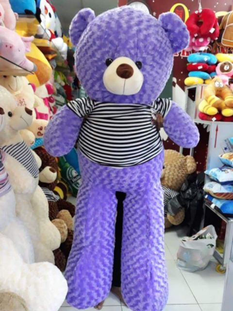 GẤU BÔNG TEDDY KHỔ VẢI 1M6 CAO 1M4