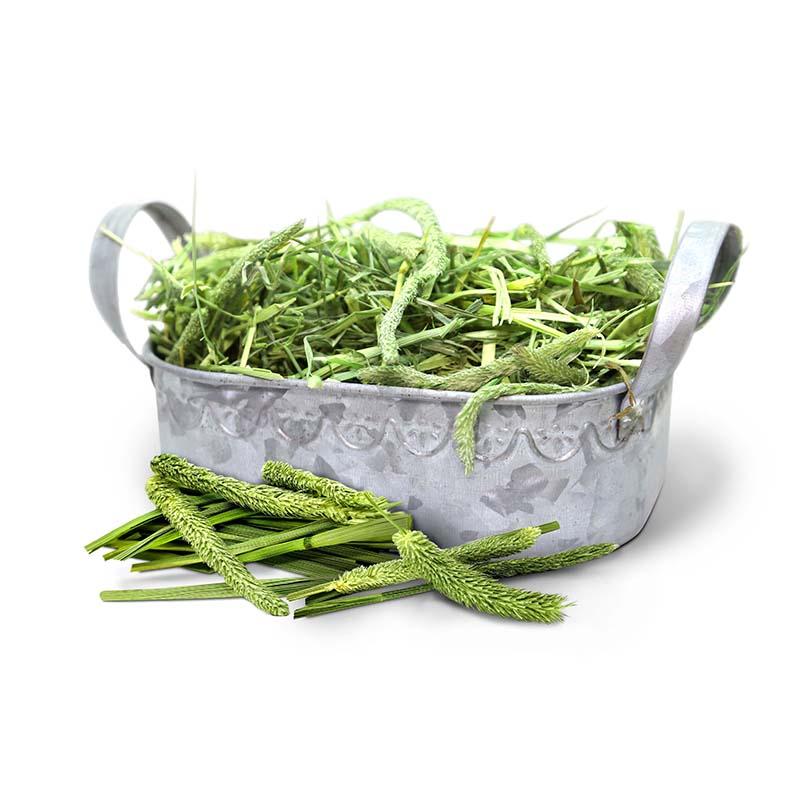 Cỏ Timothy 500g