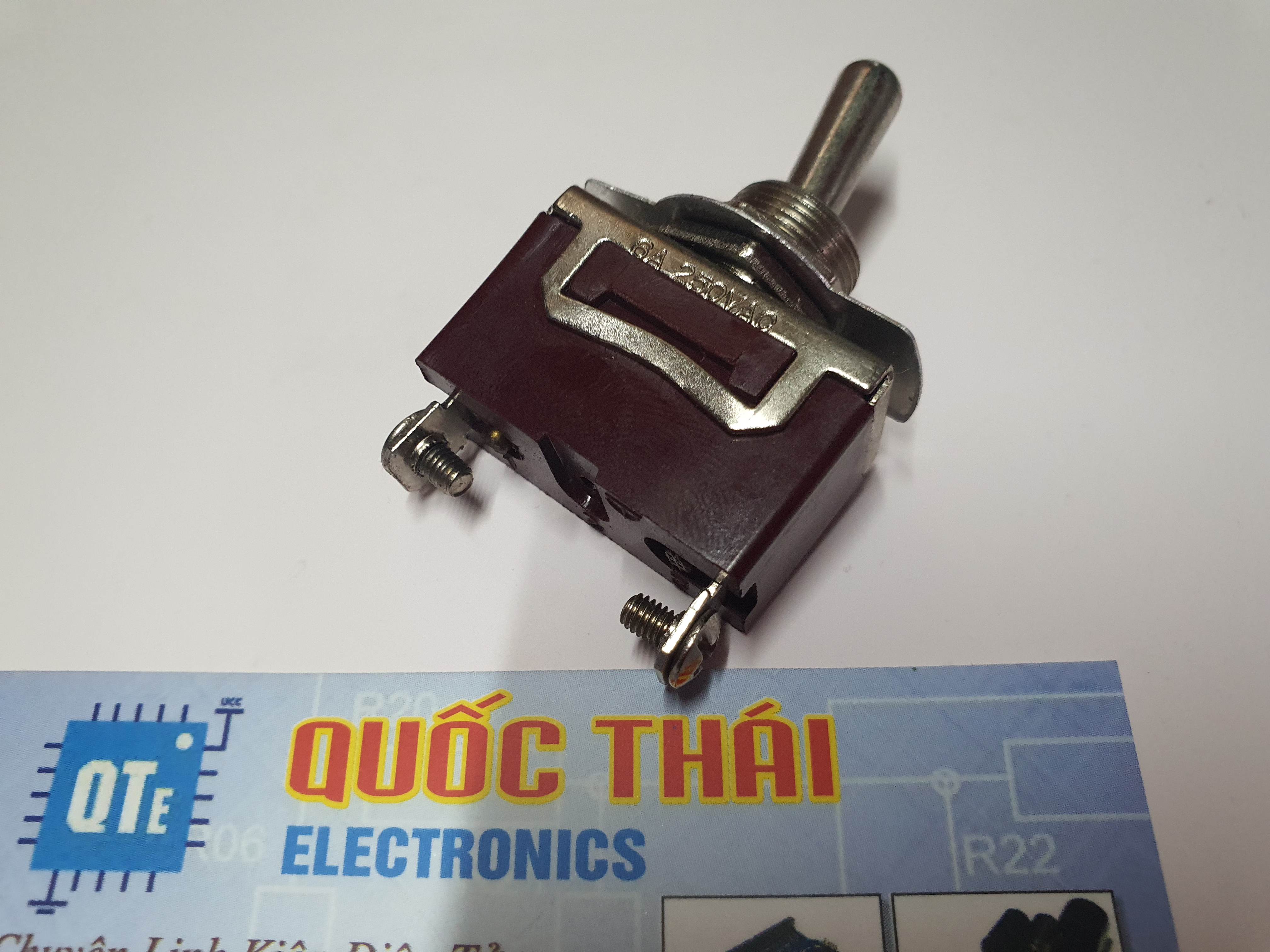 Công tắc gạt Inox nâu 2 chân (6a)