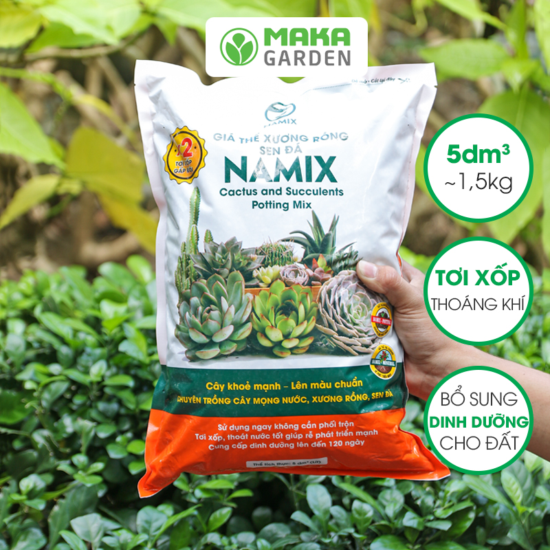 Đất trồng Sen đá và Xương rồng Namix