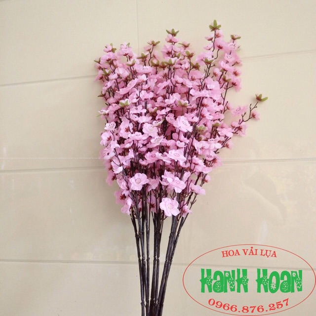 Combo sỉ 10 cành hoa anh đào- hoa vải lụa