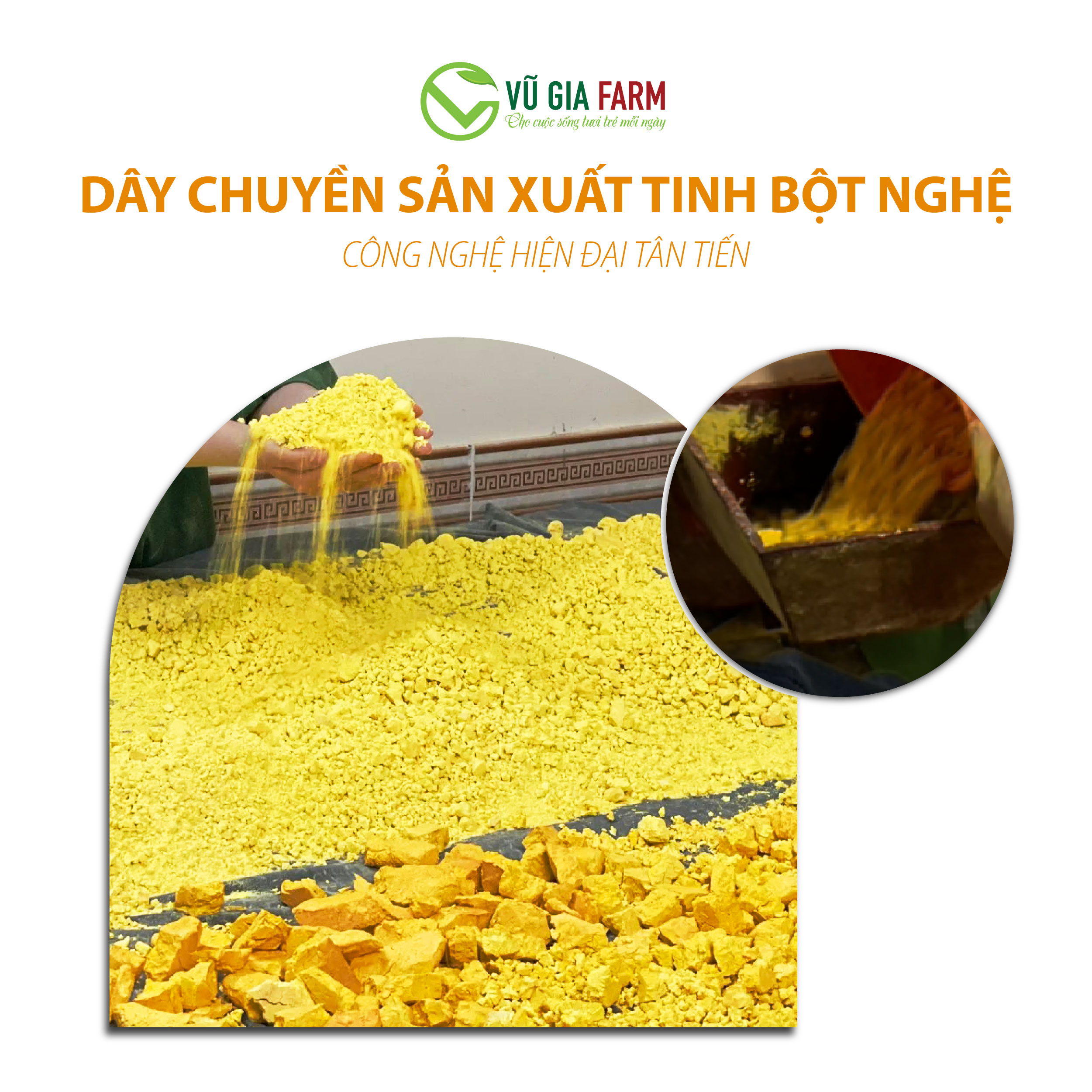Tinh Nghệ Đỏ Nguyên Chất Vũ Gia (100g/hũ)
