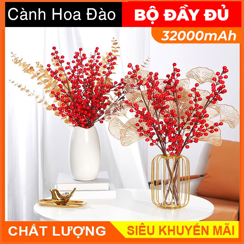 Cành hoa đào đông đỏ