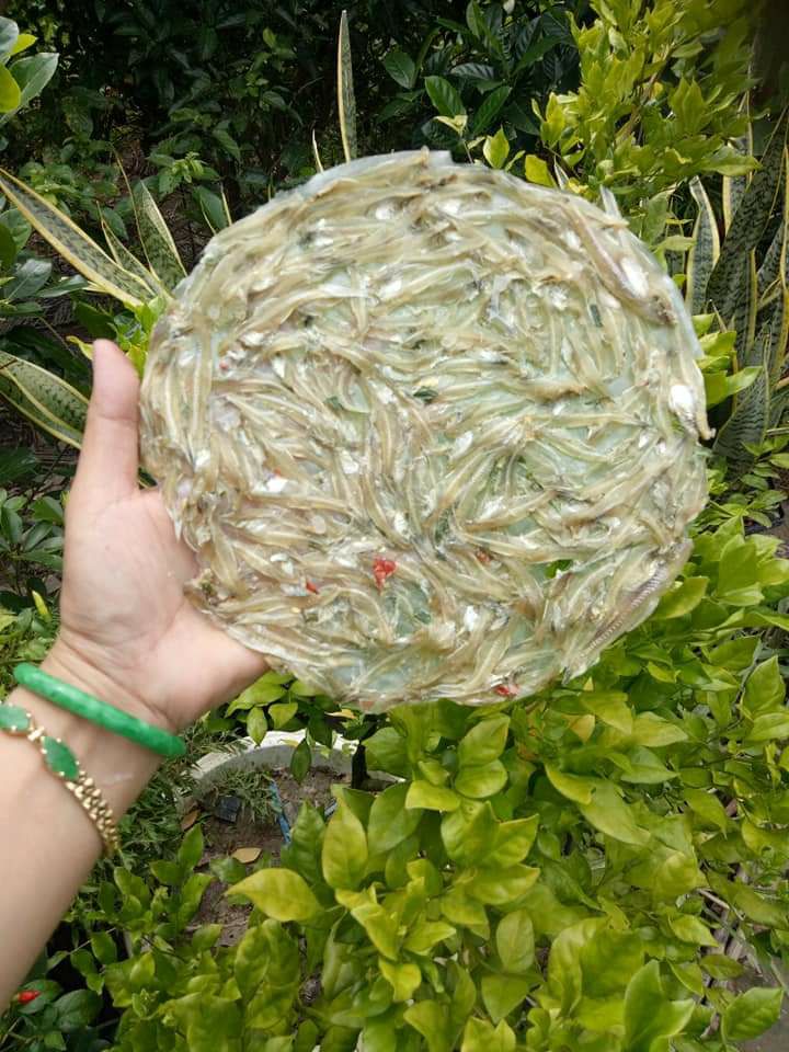 Bánh tráng cá cơm 1 kí Sông Đốc Cà Mau