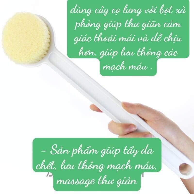 [Tặng Chà gót chân hoặc lược Matxa] Cây bàn chải cọ lưng chà lưng