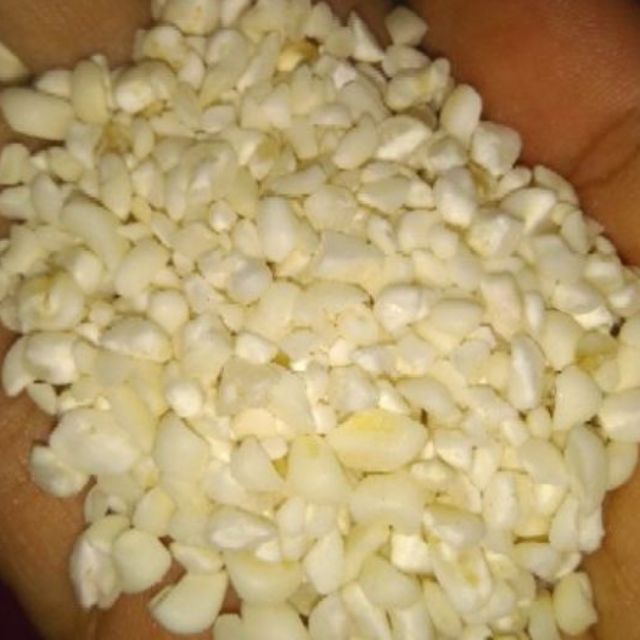 10kg Bắp / ngô nếp (dùng để nấu xôi bắp nhão)