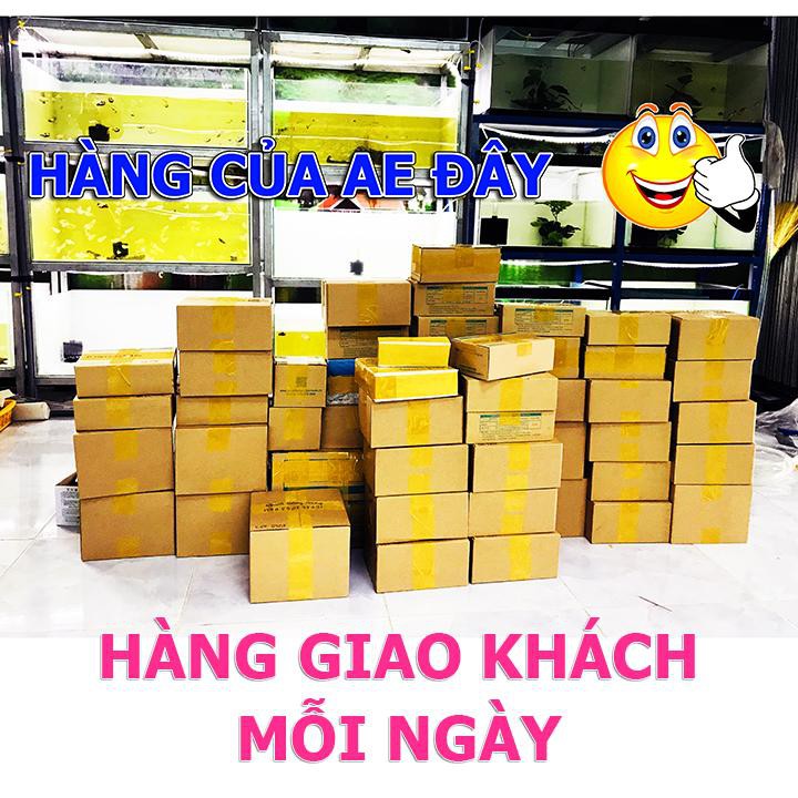 Cám CC Red Thức ăn cho cá BETTA và GUPPY