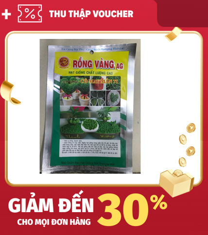 [HCM]Hạt Giống Cỏ May Mắn 01G