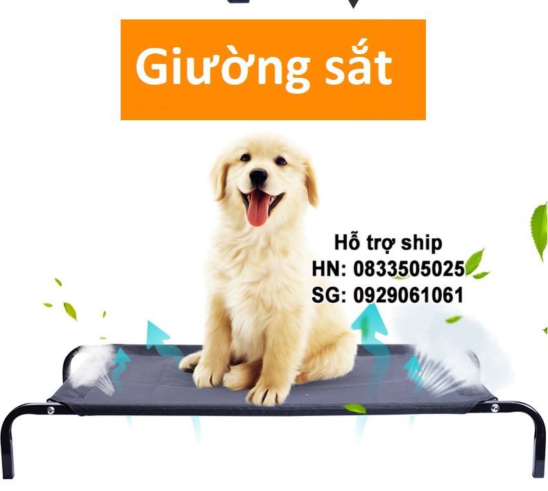 Hanpet - Giường chó mèo khung sắt có thể gấp gọn / giường nằm chó/ giường ngủ có thể dùng cho thú cưng / giường ngủ chó mèo chịu lực / nhà chó / nệm mèo / nhà giường nệm chó mèo