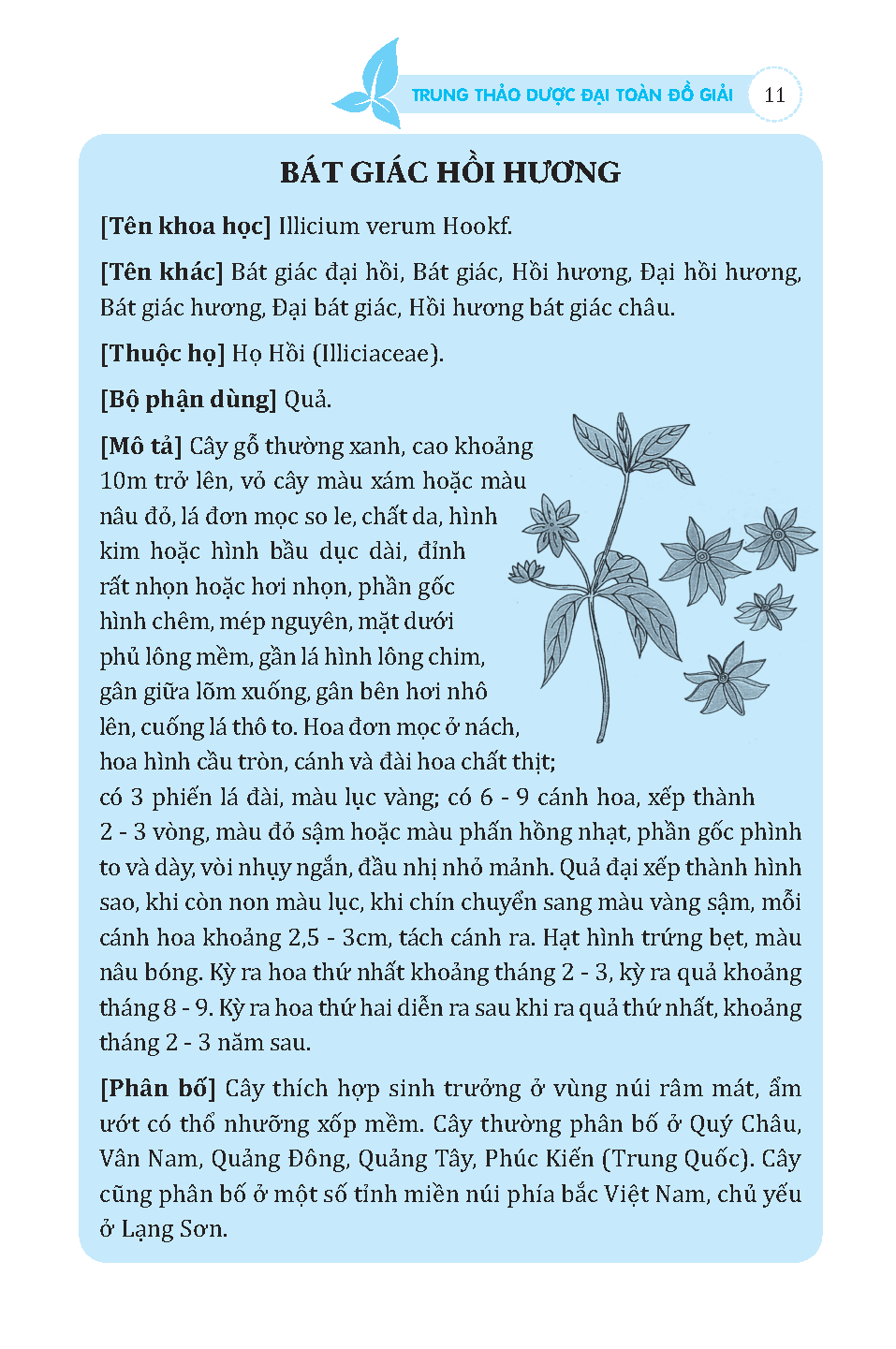 Trung thảo dược đại toàn (đồ giải)
