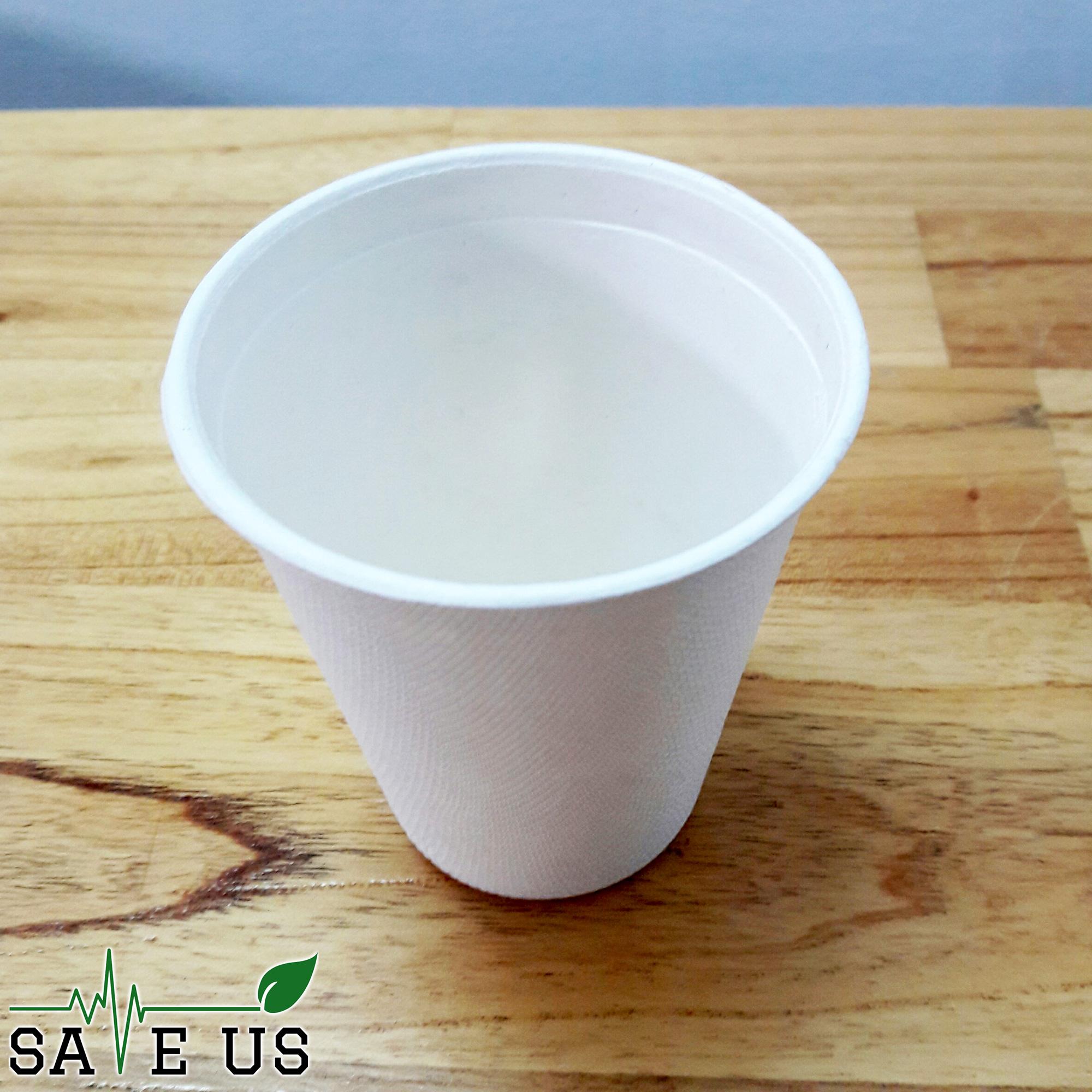 Ly bã mía GRACZ - gói 50 cái (không nắp)