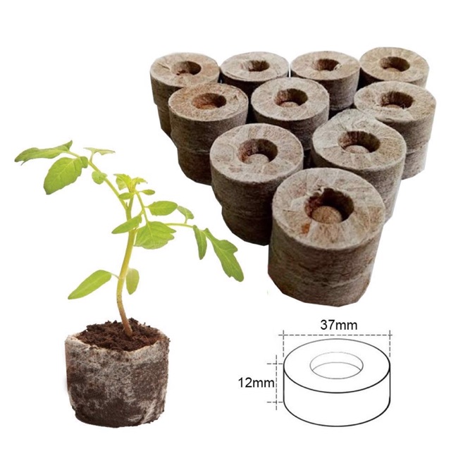 1 Viên nén xơ dừa ươm hạt giống