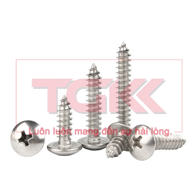 Vít bắt gỗ inox 201 chỏm cầu to M5 (Túi 10)