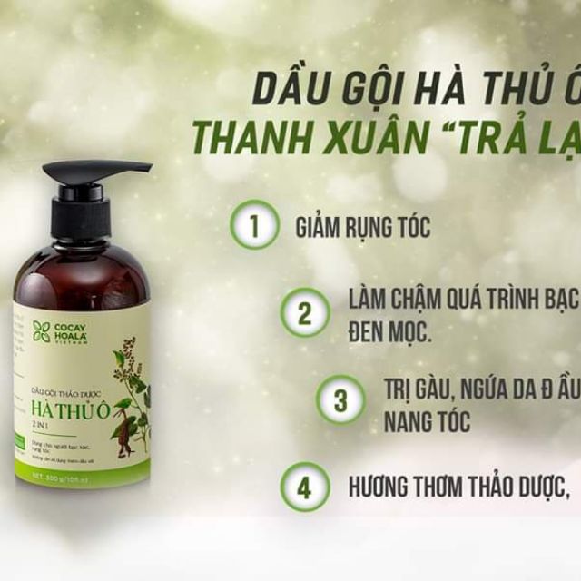( GIÁ SỈ ) Dầu gội thảo dược Hà Thủ Ô 500ml
