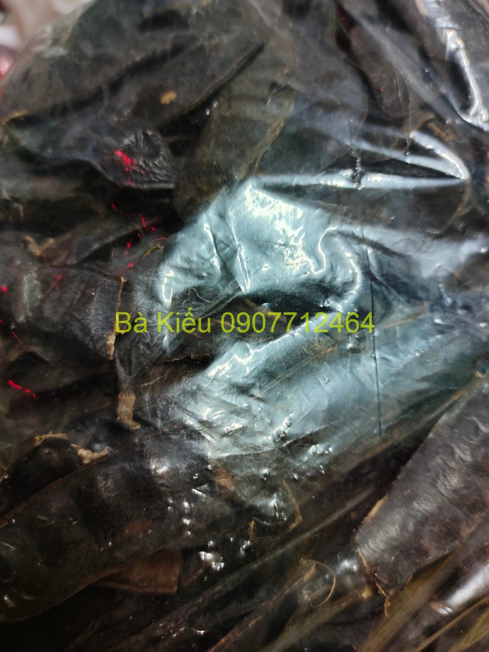 10 trái bồ kết khô