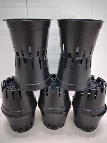 COMBO 10 Chậu nhựa trồng lan size 16
