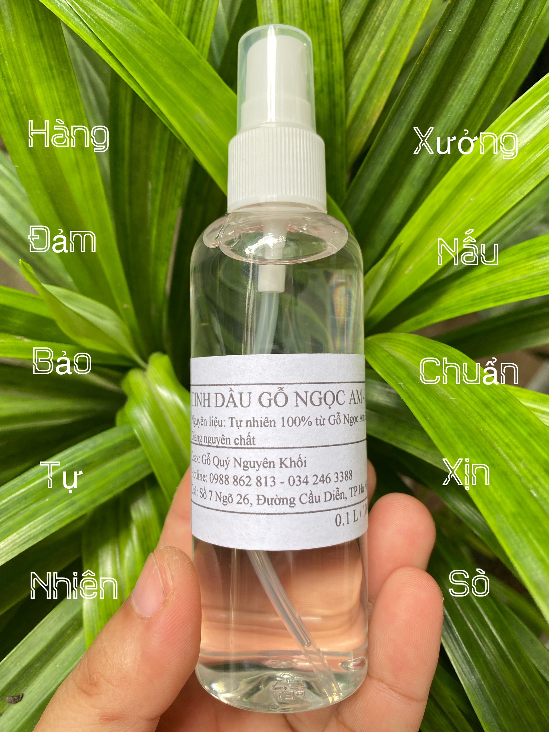 Tinh Dầu Gỗ Ngọc Am Đỏ Hà Giang (100ml)