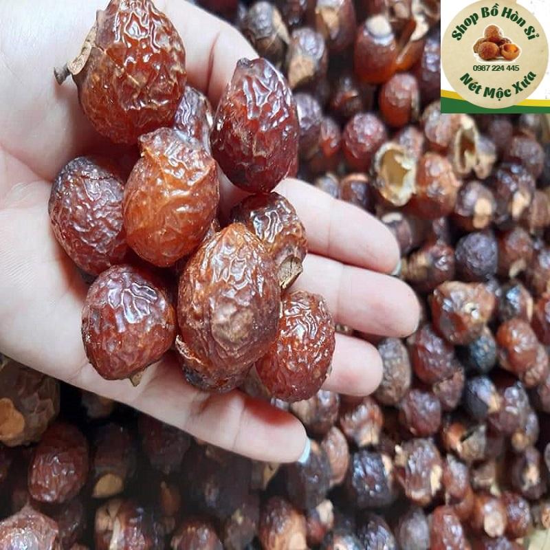 5kg bồ hòn tách hạt tặng 200g bột bồ hòn