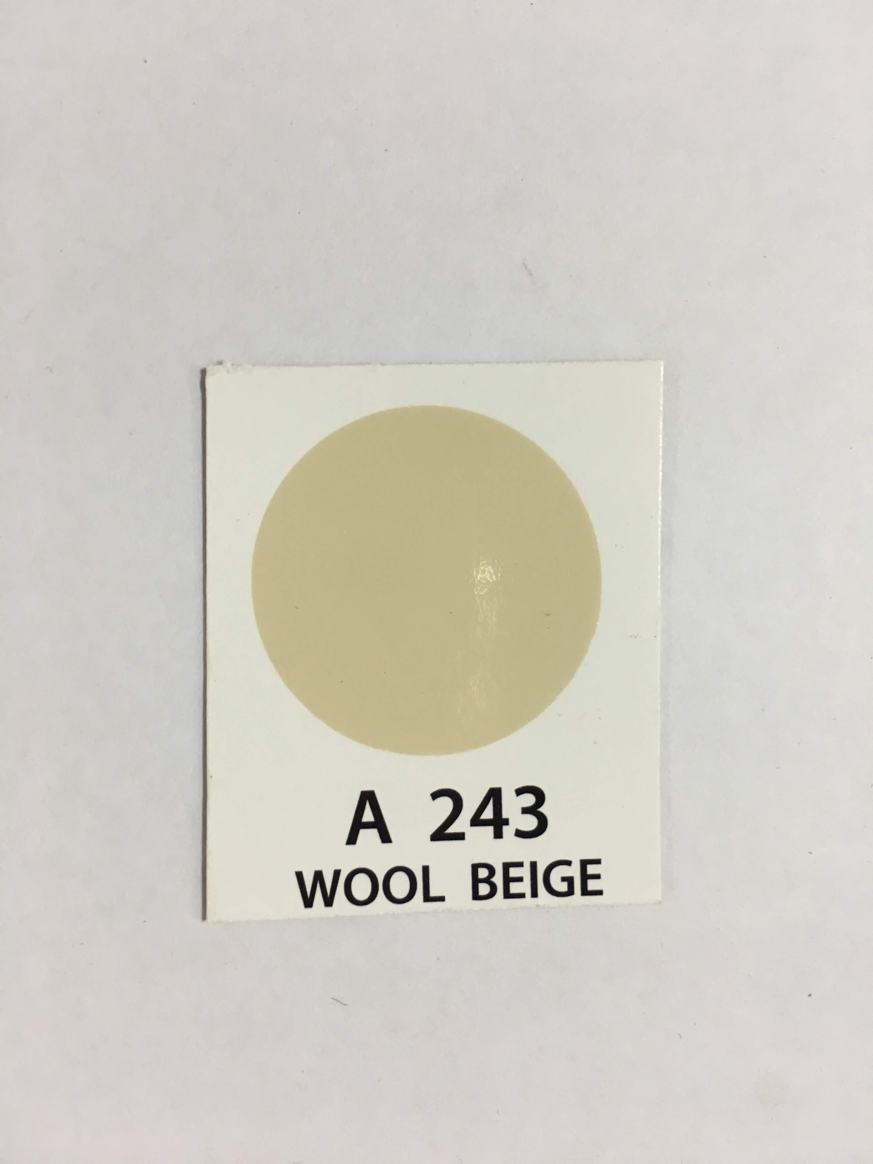 Atm Spray Paint in Dark Cream Color A243