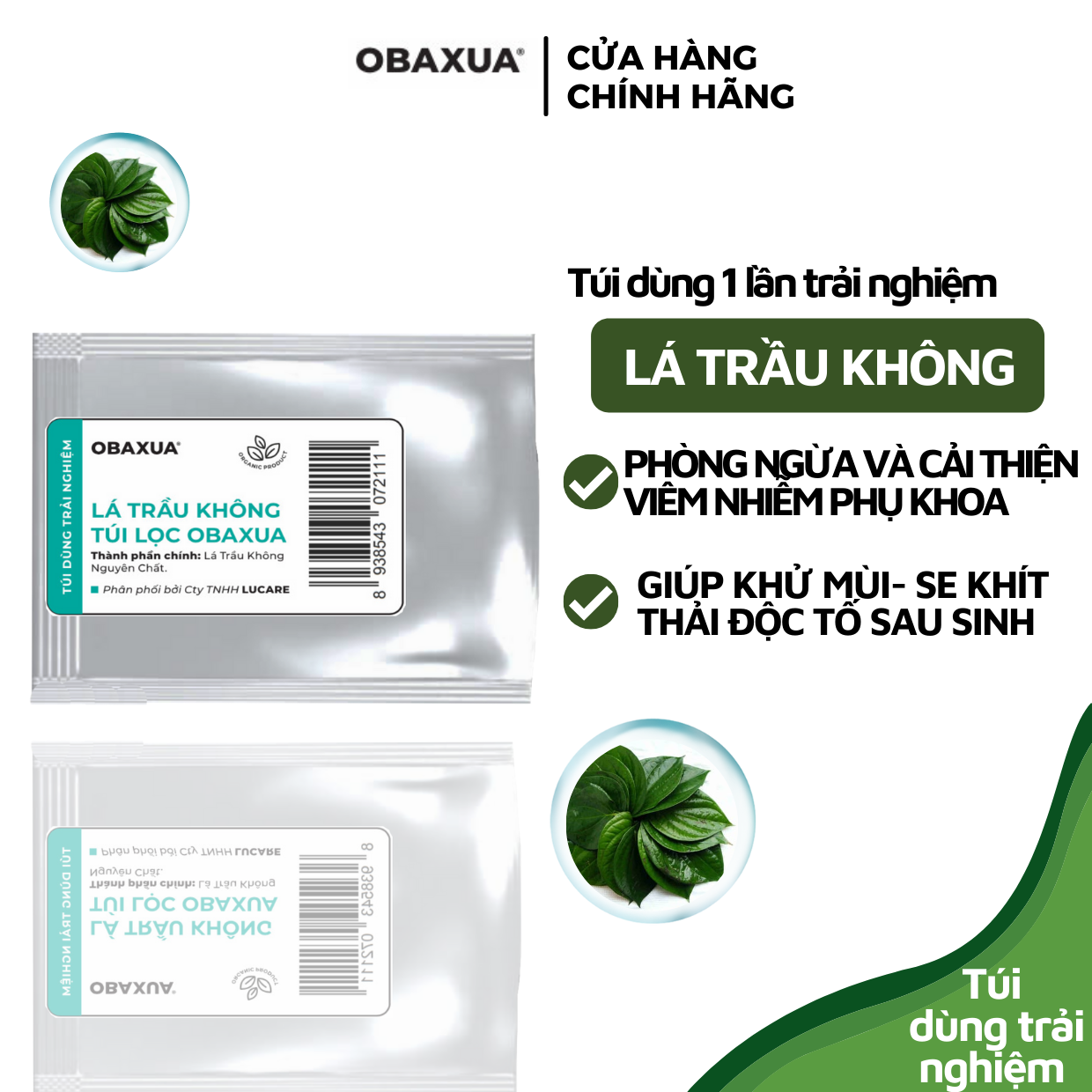 BỘT LÁ TRẦU KHÔNG (DẠNG TÚI LỌC) - OBAXUA