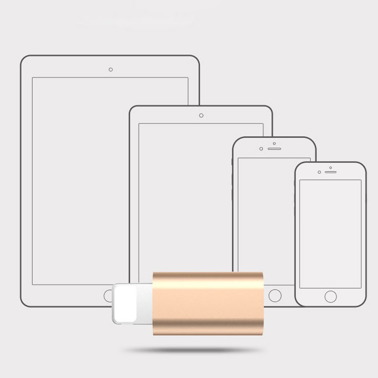 [HCM]Đầu chuyển đổi từ Micro USB sang Lightning cho Iphone