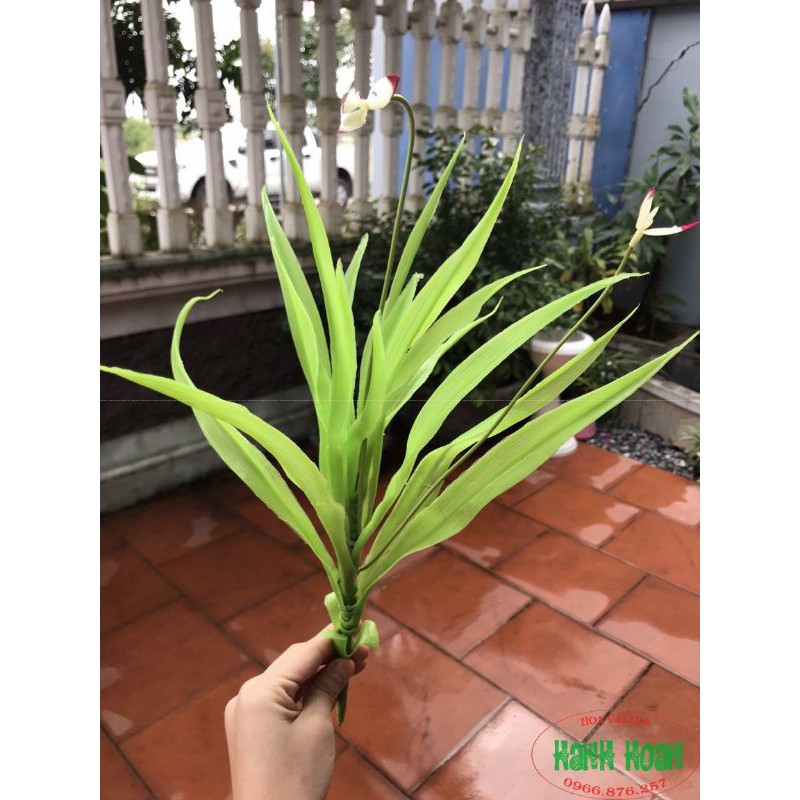 Cụm lá dứa hoa - Hoa giả