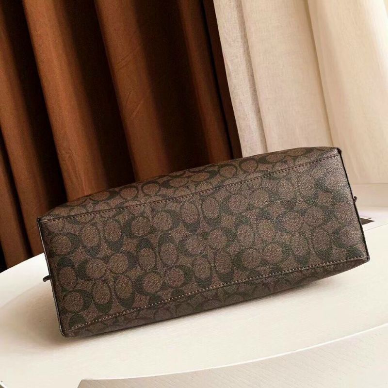 Túi Coach Mollie Tote